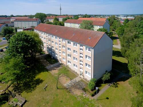 Foto - Wohnung zum Mieten in Wolgast 344,00 € 58.2 m²