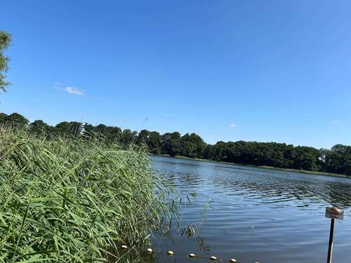 Foto - Grundstück zu verkaufen in Rohlstorf 699.000,00 € 5380 m²