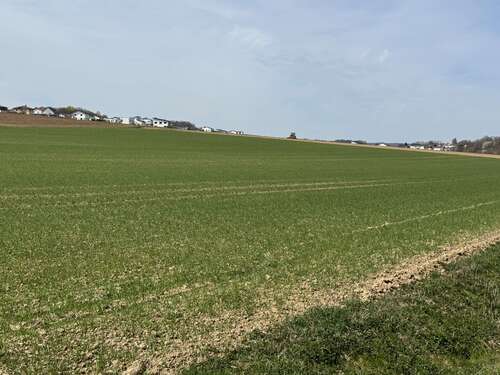 Foto - Grundstück in Ergoldsbach 541.170,00 € 30065 m²