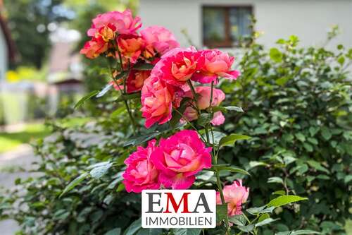 Foto - Haus zum Kaufen in Schönwalde-Glien 420.000,00 € 125 m²
