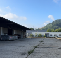 Halle in Werdohl 10.914,00 € 1575 m²