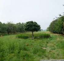 Grundstück zu verkaufen in Winsen 299.000,00 € 10163 m²