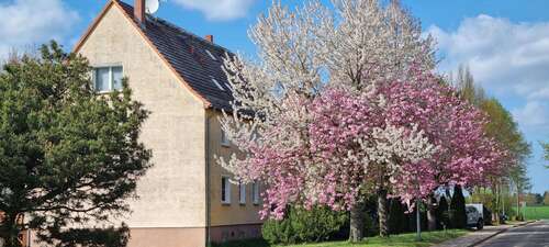 Foto - Wohnung zum Kaufen in Nadrensee 69.000,00 € 63 m²