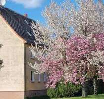 Wohnung zum Kaufen in Nadrensee 69.000,00 € 63 m²