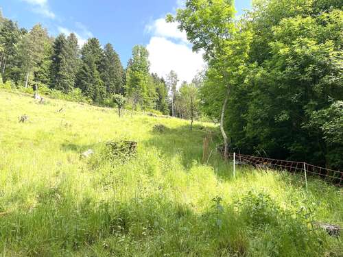 Foto - Grundstück zu verkaufen in Bad Wildbad 239.000,00 € 3814 m²