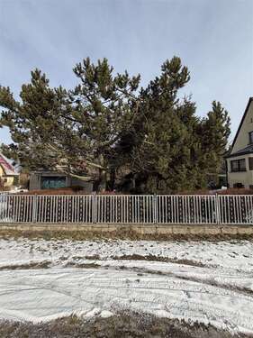 Foto - Grundstück zu verkaufen in Panketal 260.000,00 € 927 m²