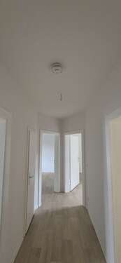 Foto - Wohnung zum Mieten in Delitzsch 500,00 € 59 m²