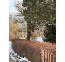 Grundstück zu verkaufen in Panketal 160.000,00 € 515 m²