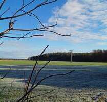 Haus zum Kaufen in Roßtal Raitersaich 499.000,00 € 253 m² - Roßtal / Raitersaich