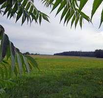 Haus zum Kaufen in Roßtal Raitersaich 529.000,00 € 253 m² - Roßtal / Raitersaich