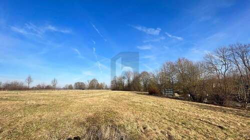 Foto - Grundstück zu verkaufen in Frielendorf 140.000,00 € 5500 m²