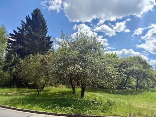 Foto - Grundstück zu verkaufen in Bayreuth 295.000,00 € 1292 m²