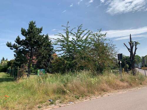 Foto - Grundstück in Tornau 12.000,00 € 99 m²