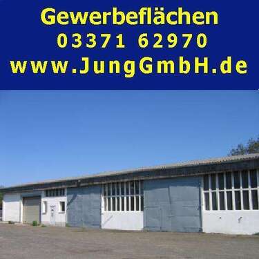 Foto - Halle in Luckenwalde 838,50 € 129 m²