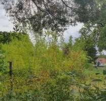 Grundstück zu verkaufen in ZossenOT Dabendorf 149.000,00 € 600 m² - Zossen/OT Dabendorf