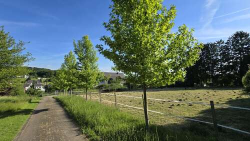 Foto - Haus zum Kaufen in Bochum 980.000,00 € 238 m²