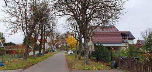 Foto - Grundstück zu verkaufen in Neu Zittau 135.000,00 € 385 m²