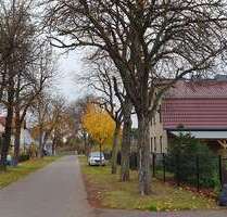 Grundstück zu verkaufen in Neu Zittau 135.000,00 € 385 m²