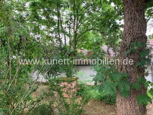 Foto - Wohnung zum Kaufen in Halle (Saale) Reideburg 315.000,00 € 64.89 m²