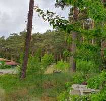 Grundstück zu verkaufen in Gem. HeideseeOT Kolberg 175.000,00 € 864 m² - Gem. Heidesee/OT Kolberg