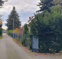 Grundstück zu verkaufen in Brieselang 169.000,00 € 499 m²