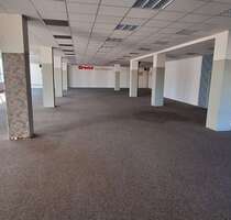 Spezialgewerbe in Hagen 5.750,00 € 1200 m²