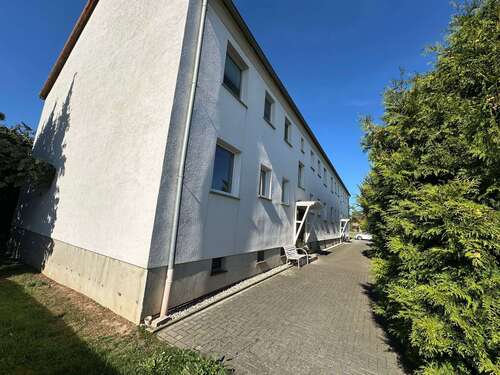 Foto - Wohnung zum Mieten in Dommitzsch 285,00 € 57.02 m²