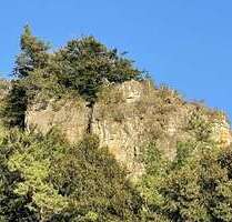 Gastronomie in Mürlenbach 1.675.000,00 € 700 m²