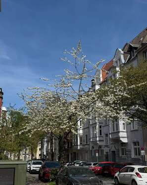 Foto - Wohnung zum Mieten in Dortmund 1.850,00 € 134 m²