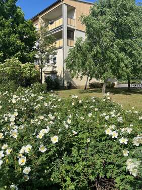 Foto - Wohnung zum Kaufen in Cottbus 224.900,00 € 107 m²
