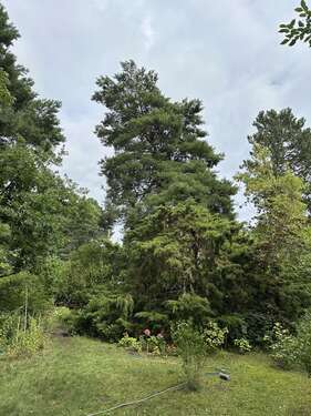 Foto - Grundstück zu verkaufen in Berlin 368.000,00 € 1022 m²