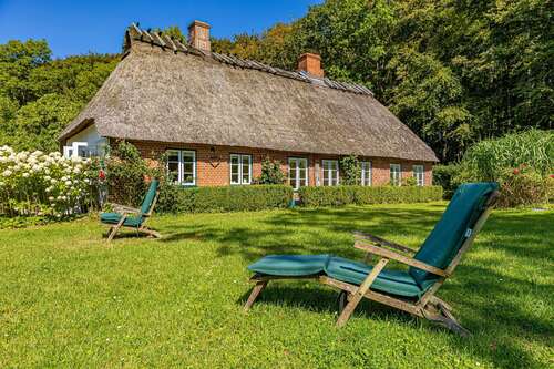 Foto - Haus zum Kaufen in Steinfeld 550.000,00 € 95 m²