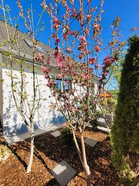 Foto - Haus zum Kaufen in Absberg 599.000,00 € 120 m²