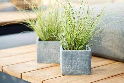 Foto - Haus zum Kaufen in Pirna 577.836,00 € 152 m²