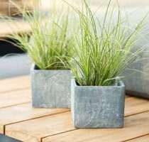 Haus zum Kaufen in Pirna 577.836,00 € 152 m²