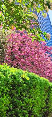 Foto - Wohnung zum Kaufen in Stuttgart 397.000,00 € 104 m²