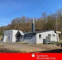 Halle in Katzwinkel 249.000,00 € 372 m²