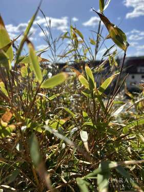 Foto - Wohnung zum Kaufen in Kulmbach 158.000,00 € 70 m²