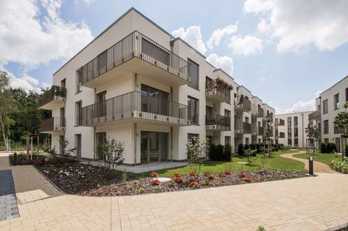 Foto - Wohnung zum Mieten in Dresden 450,00 € 37.91 m²