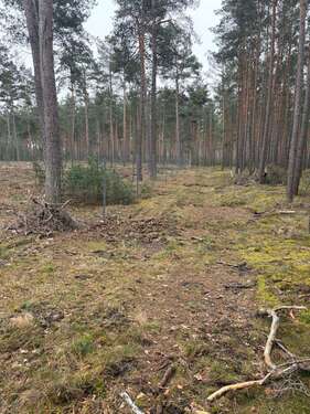 Foto - Grundstück in Gartow 495.284,00 € 275158 m²