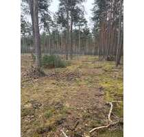 Grundstück in Gartow 495.284,00 € 275158 m²