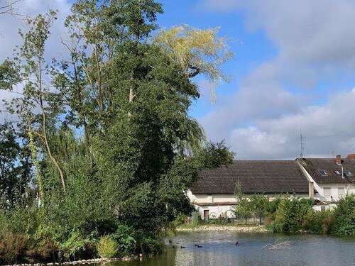 Foto - Haus zum Kaufen in Weisendorf 498.000,00 € 160 m²
