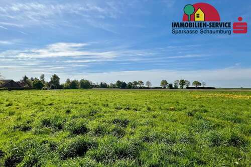 Foto - Grundstück zu verkaufen in Wiedensahl 100.807,75 € 715 m²