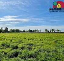 Grundstück zu verkaufen in Wiedensahl 100.807,75 € 715 m²