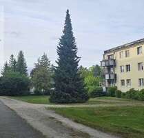 Wohnung zum Kaufen in Berlin Lichtenrade 179.000,00 € 51 m² - Berlin / Lichtenrade