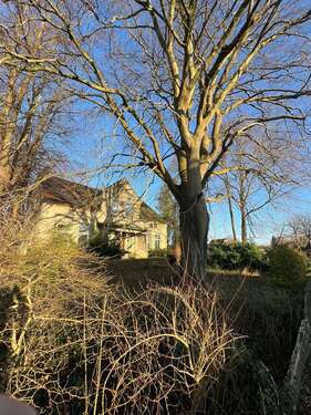 Foto - Grundstück zu verkaufen in Seestermühe 788.200,00 € 2252 m²