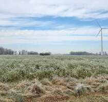 Grundstück in Hamminkeln 492.000,00 € 32810 m²