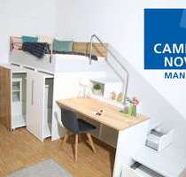 Wohnung zum Mieten in Mannheim 530,00 € 26.56 m²