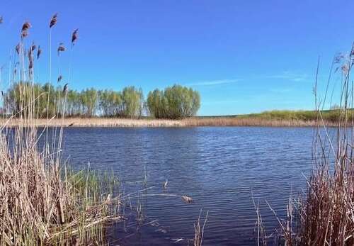 Foto - Grundstück in Angermünde 176.000,00 € 107867 m²