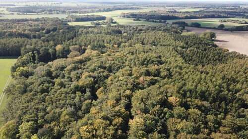 Foto - Grundstück in Holdorf 695.000,00 € 430130 m²